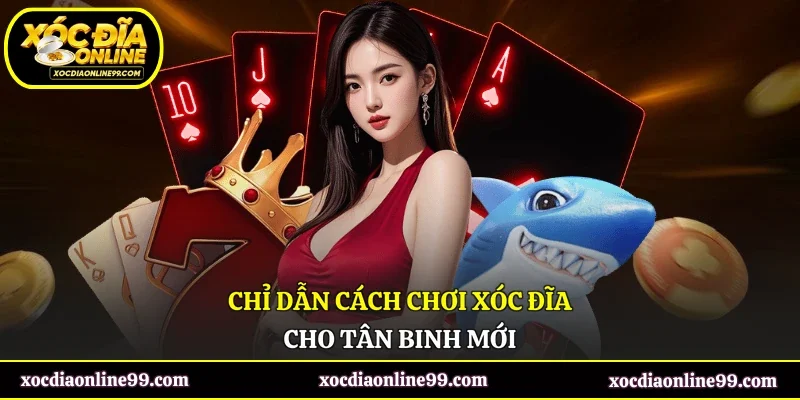 Chỉ dẫn cách chơi xóc đĩa cho tân binh mới