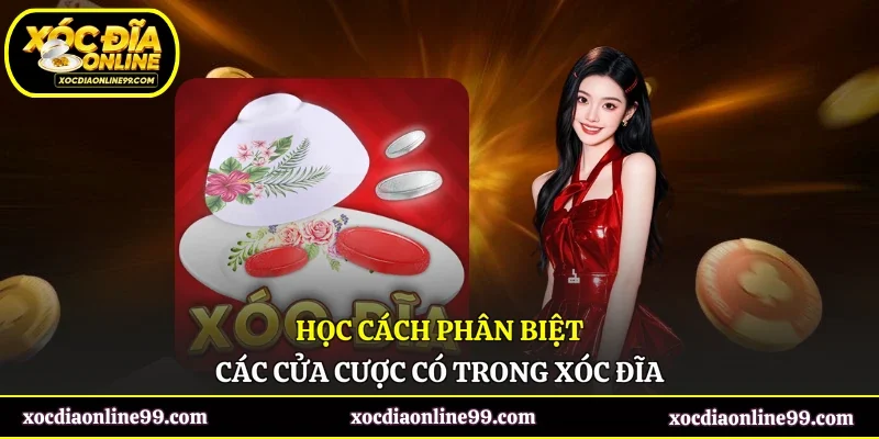 Học cách phân biệt các cửa cược có trong xóc đĩa