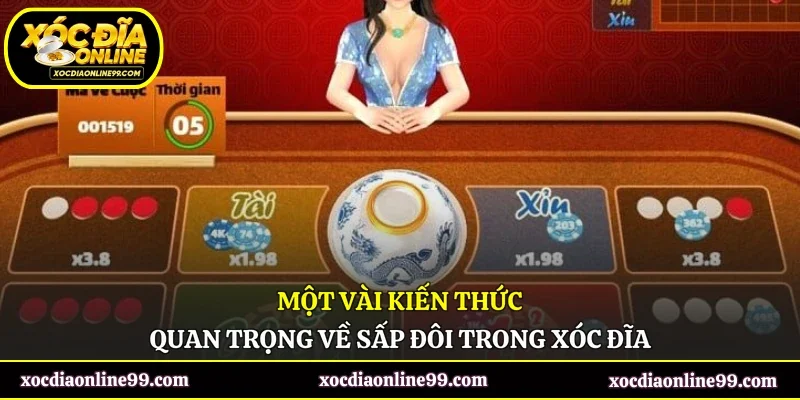 Một vài kiến thức quan trọng về sấp đôi trong xóc đĩa