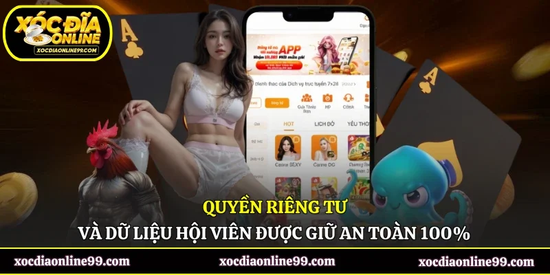 Quyền riêng tư và dữ liệu hội viên được giữ an toàn 100%