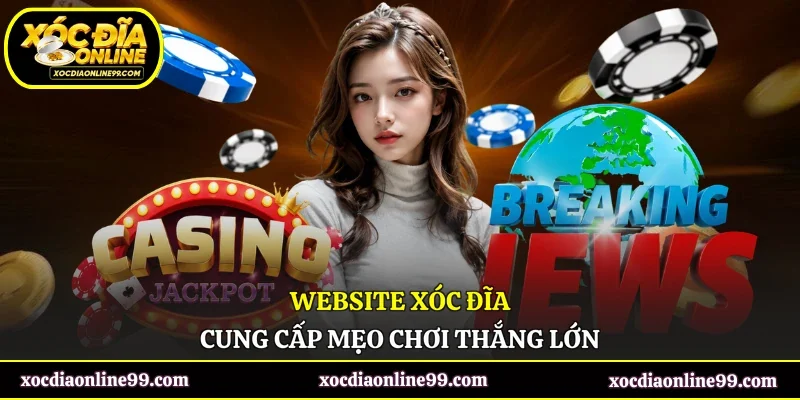 Website Xóc Đĩa cung cấp mẹo chơi thắng lớn